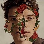 Profile Picture of Shawn Peter Raul Mendes❣️ (@shawn.paradisee) on Instagram