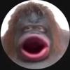 Profile Picture of Monkey gang 🐵 (@@garyarthur0123) on Tiktok