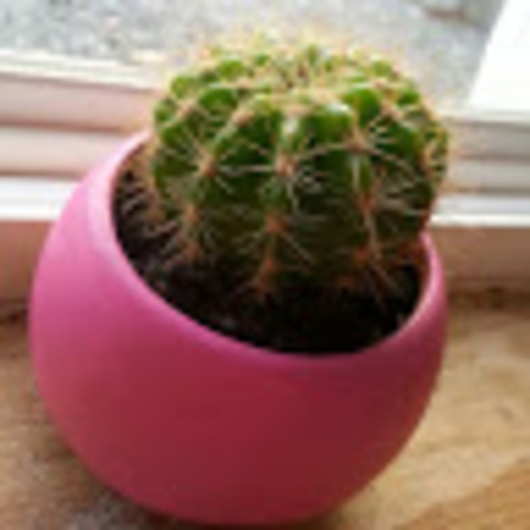 Profile Picture of Christine Symes (@christinelaalaa) on Poshmark