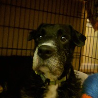 Profile Picture of Michael Cieslak (@michael-cieslak-12) on Quora