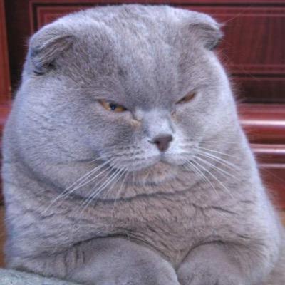 Profile Picture of Mike Boudreau (@Shotgun_Poo) on Twitter