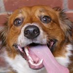 Profile Picture of Remington Douglas (@remington_douglas) on Instagram