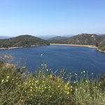 Profile Picture of Priscilla Chand (@azpldsmiles) on Instagram