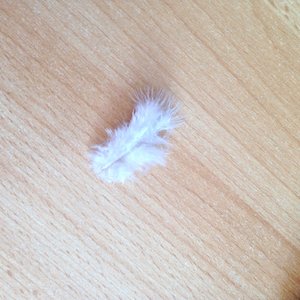 Profile Picture of Lisa Cain (@lmcain87) on Myspace