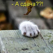 Profile Picture of Alex Bars (@alexbars8596) on Youtube