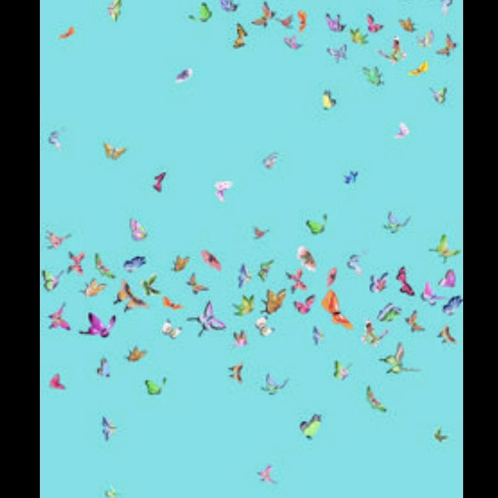 Profile Picture of Eunice Rocha (@eujoserocha) on Tiktok
