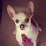 Profile Picture of Jenna (@jenna.shepardpro) on Instagram