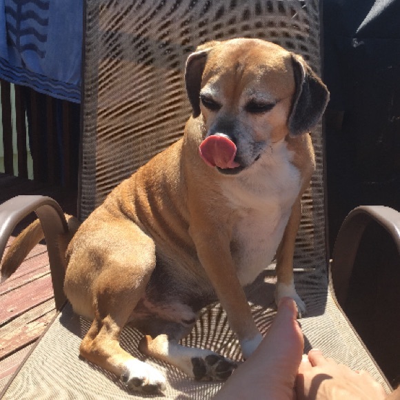 Profile Picture of Lily Erdo (@rockinlilyanne) on Poshmark