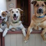 Profile Picture of Robert Dougherty (@robert.dougherty.5454) on Instagram