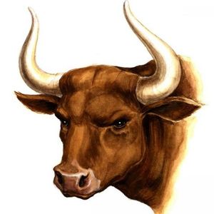 Profile Picture of Barbara Butler (@northern1977) on Myspace