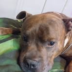 Jeremy Sweeney - Facebook Profile Picture of Jeremy Sweeney (@Jeremy-Sweeney) on Facebook