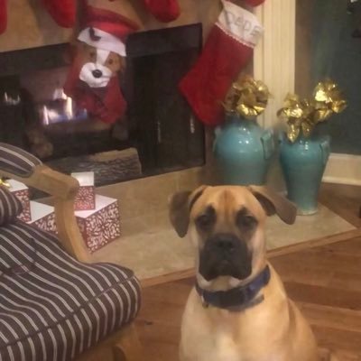 Profile Picture of Bryant Marshall (@BryantMarshal13) on Twitter