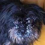 Profile Picture of Ginger Mack (@ginger.mack.7) on Instagram