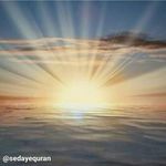 Profile Picture of mitra tadayyon (@mitratadayyon) on Instagram