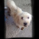 Profile Picture of Adeimy Amelaydi Solis Flores (@adeimyamelaydisolis) on Instagram