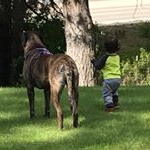 Profile Picture of jeremy strebeck (@takeanother) on Instagram