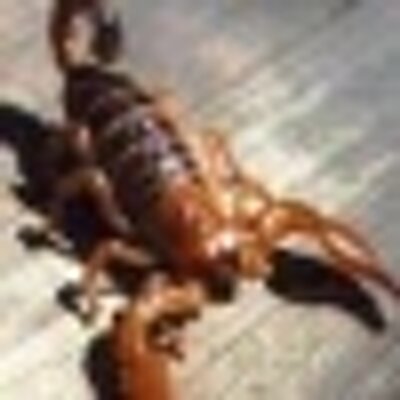Profile Picture of Maureen Richards (@mope369) on Twitter