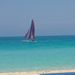 Profile Picture of Annie Bleau (@ableau1140) on Pinterest