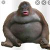 Profile Picture of James Grose (@@jamesgrose73) on Tiktok