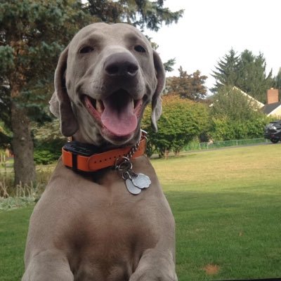 Profile Picture of J_Barch (@j_barch) on Twitter