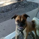 Profile Picture of corey goudeau (@coreygoudeau) on Instagram