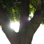 Profile Picture of Benjamin Jones (@wiremanben) on Instagram