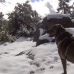 Profile Picture of Matthew Blomberg (@smblomberg) on Instagram