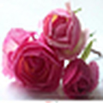 Profile Picture of Renu Gupta (@~~~~love~~~~) on Flickr