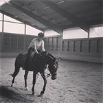 Profile Picture of Jamal Alkhoury (@jamalalkhoury) on Instagram