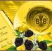 Profile Picture of Doris Westermann (@Doris-Westermann) on Facebook