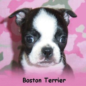 Profile Picture of Liz Ashby (@184703746) on Myspace