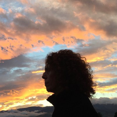 Profile Picture of Carmen Abarca (@AbarcaCarmen) on Twitter