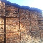 Profile Picture of Benjamin Jiménez (@benjamin.jimenez.5872682) on Instagram