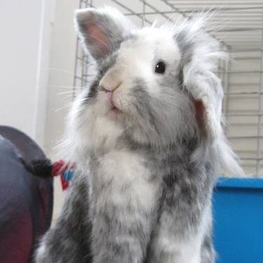 Kim Wallis - Twitter Profile Picture of Kim Wallis (@KimWallis18) on Twitter