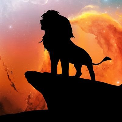 Profile Picture of Edgard Pérez 🇺🇸🇵🇷 (@EdgardPR360) on Twitter