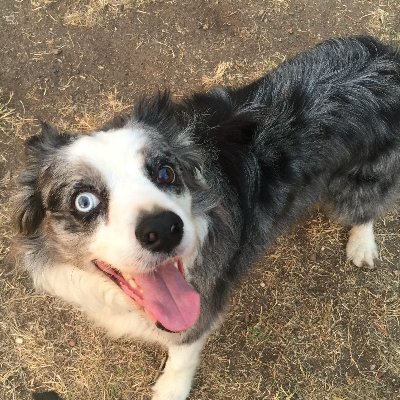 Profile Picture of Glen Garside (@19glenaldo67) on Twitter