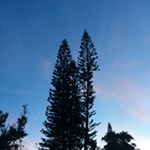 Profile Picture of kila dimapilis (@kyi_hla) on Instagram