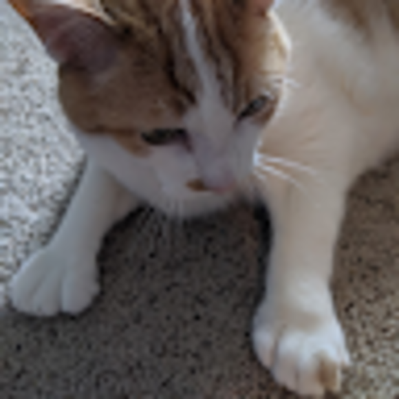 Profile Picture of Tyler Longtin (@tylerlongtin) on Poshmark