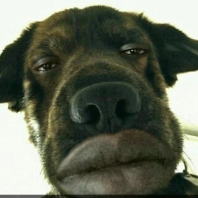 Profile Picture of Jeremy Lacy (@LacyRacing) on Twitter