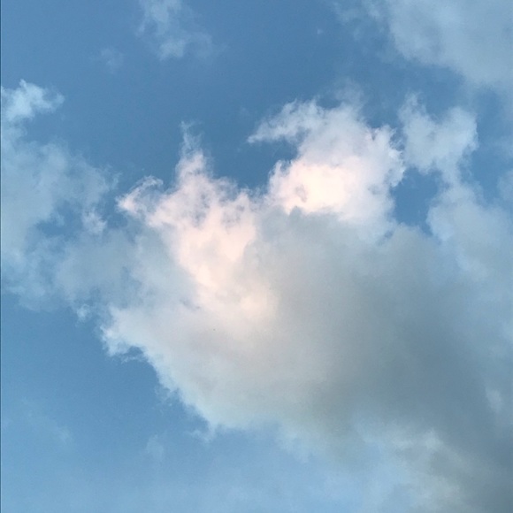 Profile Picture of Marisa Quintero (@marisaquintero) on Poshmark