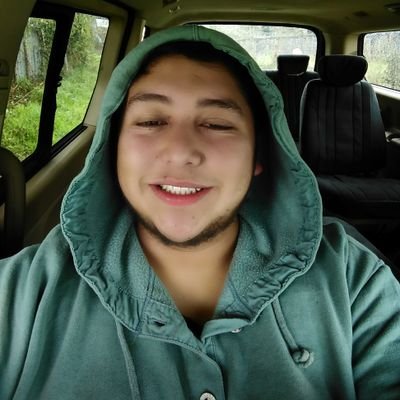 Profile Picture of Nicolas Gallegos Inz (@nico_gallegos) on Twitter