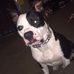 Profile Picture of Antoine Minor (@antoine.minor.520) on Facebook