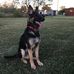 Profile Picture of Randy Fuqua (@randy.fuqua.31) on Facebook