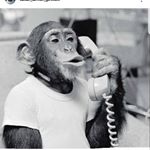 Profile Picture of Albert Shakirov 116 (@albert_norilsk) on Instagram