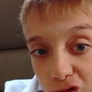 Profile Picture of William Perreault (@WilliamPerreau5) on Twitter