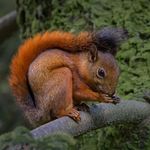 Profile Picture of Jonathan Coley Zapata (@lalentedejonathancoley) on Instagram