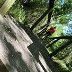 Profile Picture of Evan Escobar🇺🇸 (@evan_escobar12) on Instagram