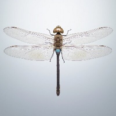 Profile Picture of Jonathan Gregson (@gregsonjonathan) on Twitter