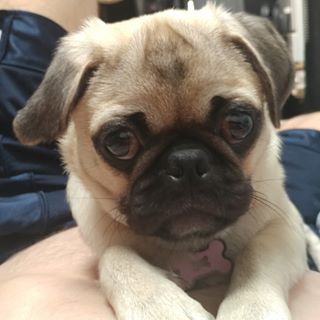 Profile Picture of Hennessey Guillen (@hennessey.guillen) on Facebook