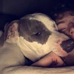 Profile Picture of Geeezzzzz (@jack_stacked) on Instagram